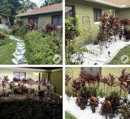 Collage of a garden pathway and vibrant plants around a green house exterior.